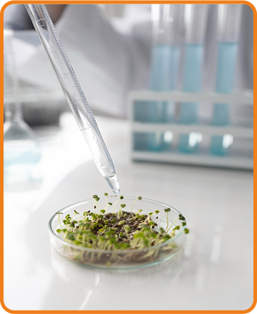 Shri Yaganti Venkateswarlu (YVR)